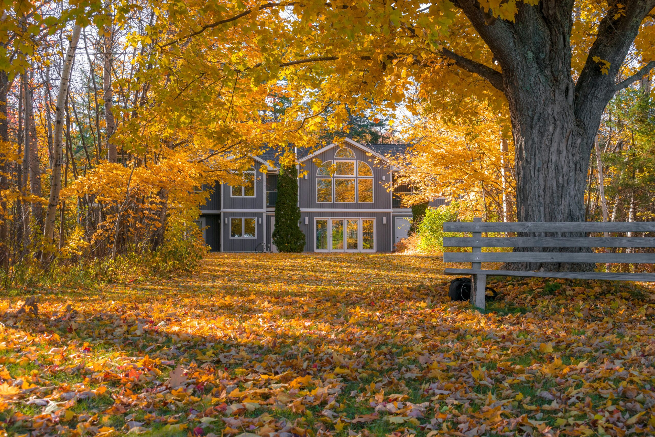 HOME jonnelle yankovich asckynyiv8 unsplash